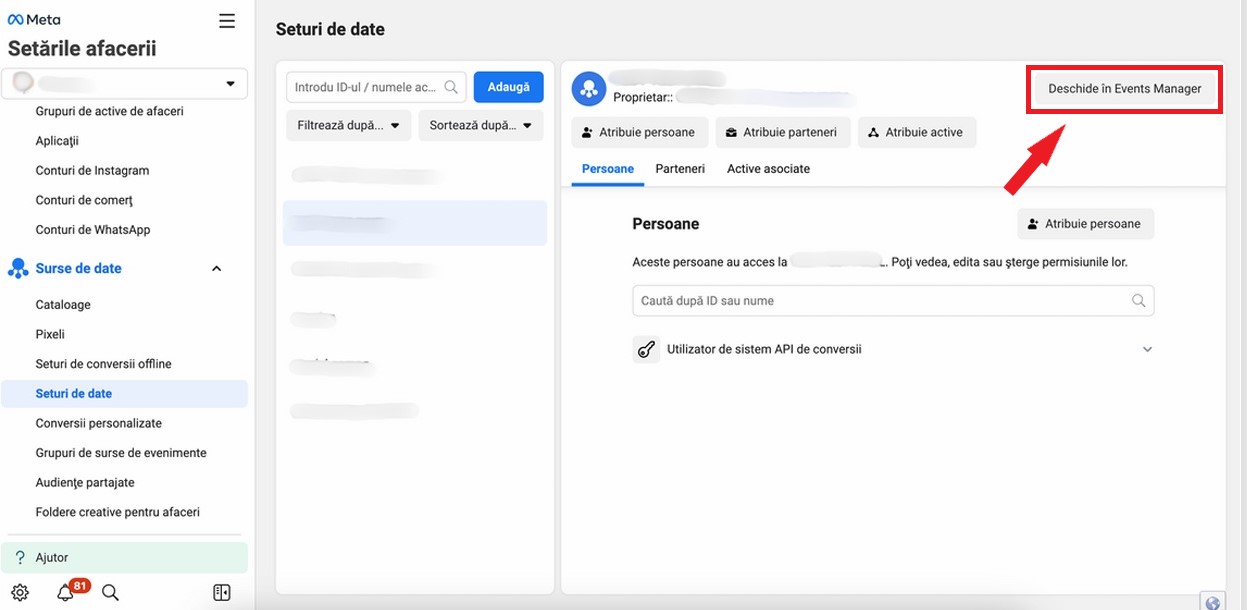 seturi de date-business manager.jpg