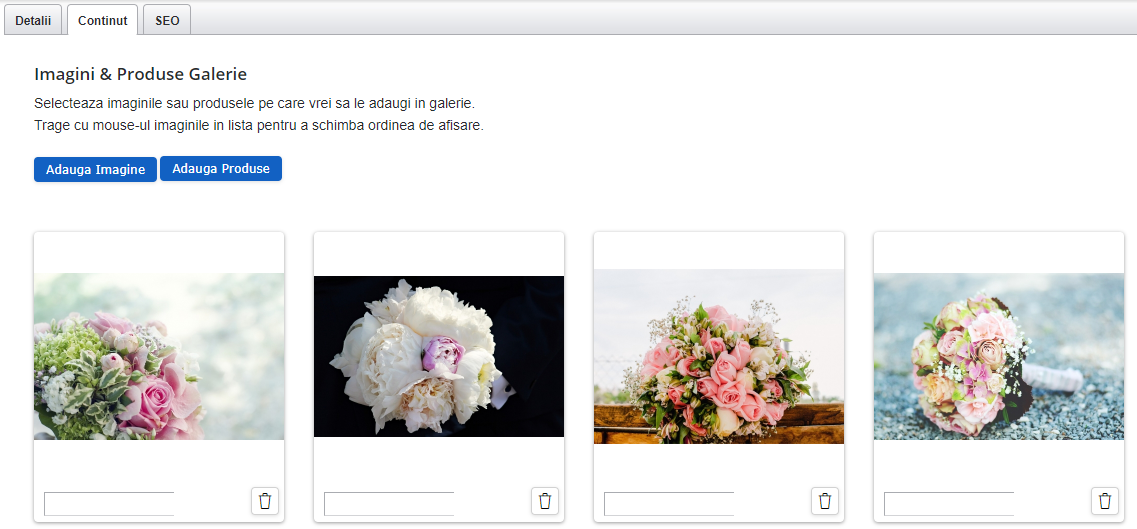 Modificare_Galerie2.png
